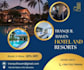 design best canva templates and anything using canva canva expert designer