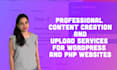 do on page seo and technical audit for your website
