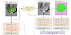do plant leaf disease detection and classification