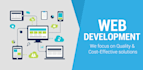 develop a custom website frontend and backend development