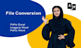 do any file conversion