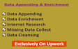 do data appending enrichment and data entry