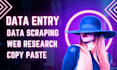do data enrichment data scraping excel data entry yellow pages