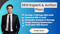 provide an SEO report, action plan, website audit and analysis