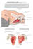 do 2d and 3d medical animation