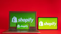 create a branded 7 figure shopify website or shopify website