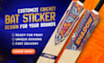 design premium cricket bat stickers with unique design