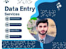 do data entry, web scraping, extraction, and data mining