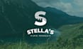 premium logo design services tailored to your business