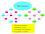 do structural equation modeling SEM with amos and smartpls