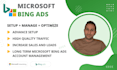 set up and manage highly profitable microsoft ads campaigns