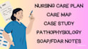 make patient based nursing care plans, care maps, and case studies