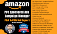 do amazon PPC ads campaign audit, setup, optimization, and expert management