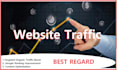 boost organic website traffic through website promotion