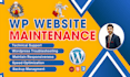 do wordpress maintenance, webiste support, updates and wordpress help