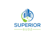 make different cleaning logo design with express delivery