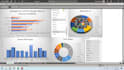 do excel dashboard analysis and clean the data and do graphs charts