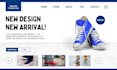 redesign, clone, edit or design of wordpress website