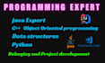 be java tutor, cpp object oriented programming, oop, data structure, java expert