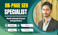 optimize on page SEO for wordpress and shopify