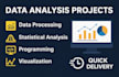 do statistical data analysis projects  in r studio, r programming, spss, excel