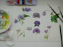 paint botanical illustrations with custom quality watercolours