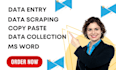 do data entry, data typing, jpg to document or excel, copy paste