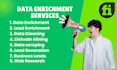 provide data enrichment, data cleaning, and lead enrichment services