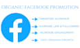 do organic facebook promotion