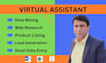 be your virtual assistant, data entry, copy paste, web research