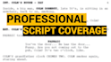 provide detailed feedback and coverage for your screenplay