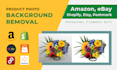 provide product photo background removal in 24 hrs
