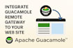 integrate apache guacamole remote access into your website