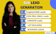 do b2b lead generation,valid email list build any industry