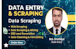 be your virtual assistant for data entry and scraping