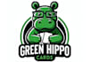 design wonderful hippo logo