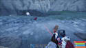 coach and play rust PC with you