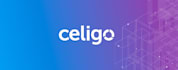 integrate netsuite with other application using celigo