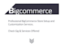 design professional bigcommerce website ecommerce store