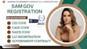 find rfp, write a winning bid proposal for government contract, grant proposal