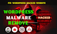 do wordpress malware removal, remove virus with wordpress security