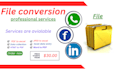 do file conversion, data scraper with sincerity