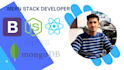 develop professional mern stack website