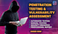 conduct website penetration testing and offer security measures