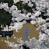 do anything  in nanjing whatever