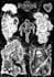 draw a custom tattoo design