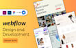 develop a professional webflow website