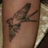 create a tattoo sketch for you