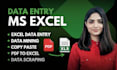 do excel data entry, pdf to excel, copy paste, data mining, web research