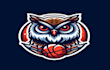 do make owl, similar, mascot logo design